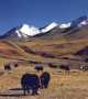 Uper Dolpo Trek